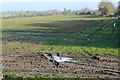 Farmland near Granby Farm