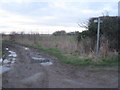 Muddy tracks