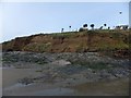 Rocks and low cliff at Pendower Beach