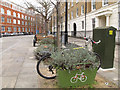 Plantlock cycle parking