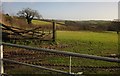 Field near Lower Cliston