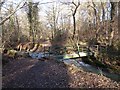 Footbridge in Walbottle Dene