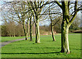 Phoenix Park in Blakenhall, Wolverhampton