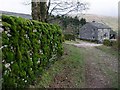 Moss covered wall at Foxup, Upper Littondale