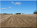 Farmland near Oadby