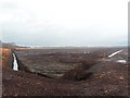 Peat Extraction on Chat Moss