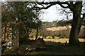 Gotleigh Moor from old Gotleigh Farm