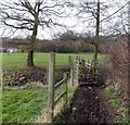 Footbridge over Forge Brook, Blakeney