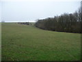 Field above Longditch Wood