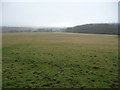 Field with a view towards Underwood