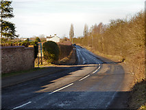SJ5594 : Broad Lane near Moss Hall Farm by David Dixon
