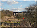 Sankey Viaduct