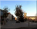 Ryde town centre on a sunday afternoon