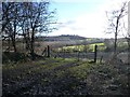 Farm gate near Sovereign House