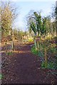 Path to Springfield Park, Kidderminster