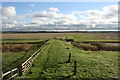 TR0364 : Footpath across Nagden Marshes by N Chadwick