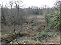 Piddle Valley Marshland