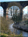 Viaduct over Sankey Brook