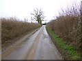 Iwerne Minster, Pegg