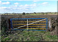 Gate and ploughed field