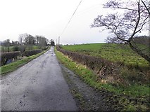 H5171 : Crocknacor Road, Cloghfin by Kenneth  Allen
