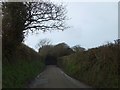 Approaching Borlase Wood