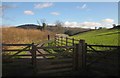 Cyclepath near Moretonhampstead