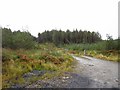H0494 : Logging road, Rowantree Brae by Richard Webb