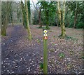 Footpath markers in Bursledon wildlife area