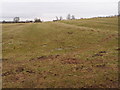 Ridge and Furrow pasture land