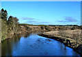 The River Clyde