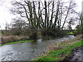 Bere Stream at Tanpit Bridge