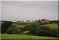 Sewage works west of the M11