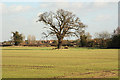 Cromwell farmland