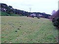 Field on Binnegar Plain