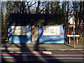 Wooden Blue Hut