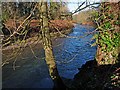 River Ebbw