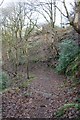 SJ9894 : Path into Hurst Clough by Dave Dunford