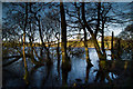 Loch Patrick in February