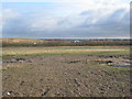 Landfill site to the south of Whisby Road