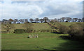 Fields north of Binchester