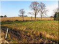 Cornavarrow Townland