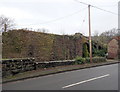 SO6606 : Western buttress of a dismantled railway bridge, Blakeney by Jaggery