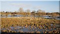 Doxey Marshes & River Sow