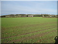 Switchback Road North, across the fields