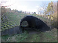 Farm track under the A1, near Heathery Tops