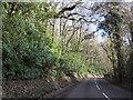 The A369 below Barlynch Wood