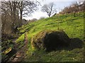 Boulder by the path, Halscombe