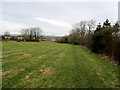 Footpath leading towards Clitheroe