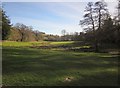 Wray Brook valley near Moretonhampstead